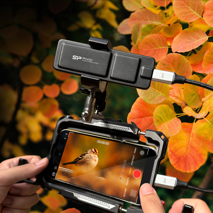 SILICON POWER εξωτερικός SSD PX10 - Image 4