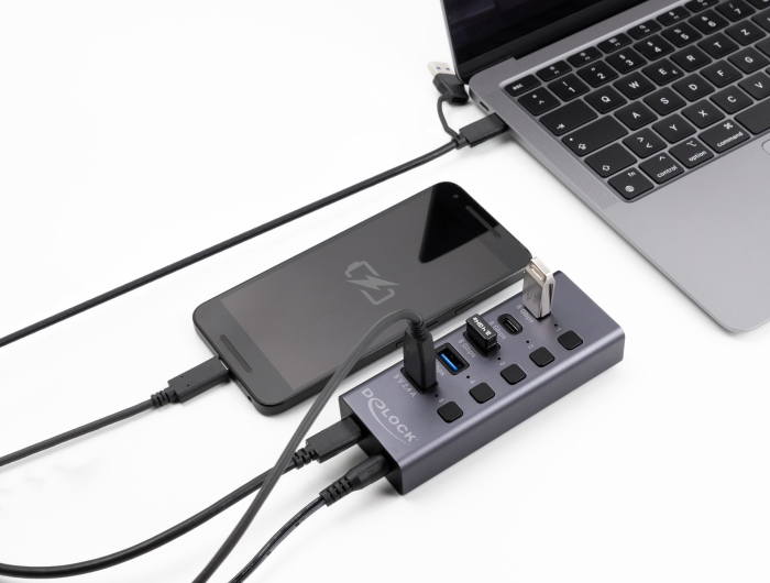 DELOCK USB hub 64248 με διακόπτες - Image 2
